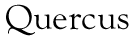 Quercus